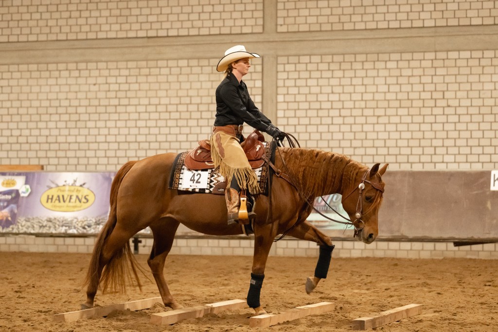 Ranch Riding beim EWU Turnier Seppenrade 2025
